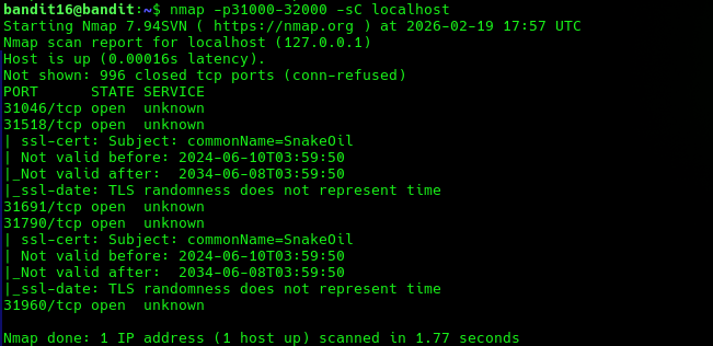 Pasted image 20260219190019.png